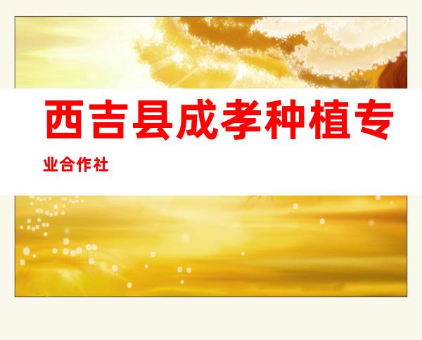 西吉县成孝种植专业合作社